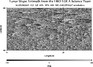 thumbnail image of lunar topography for SLDEM2015_512_AZ_60N_90N_000_045