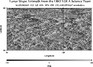 thumbnail image of lunar topography for SLDEM2015_512_AZ_60N_90N_090_135