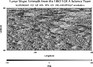 thumbnail image of lunar topography for SLDEM2015_512_AZ_60N_90N_135_180