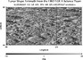 thumbnail image of lunar topography for SLDEM2015_512_AZ_60N_90N_180_225