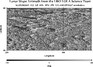 thumbnail image of lunar topography for SLDEM2015_512_AZ_60N_90N_270_315